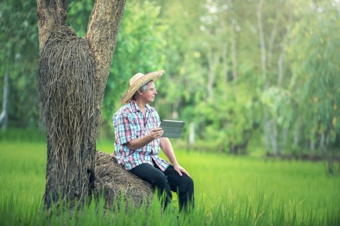 agricoltura